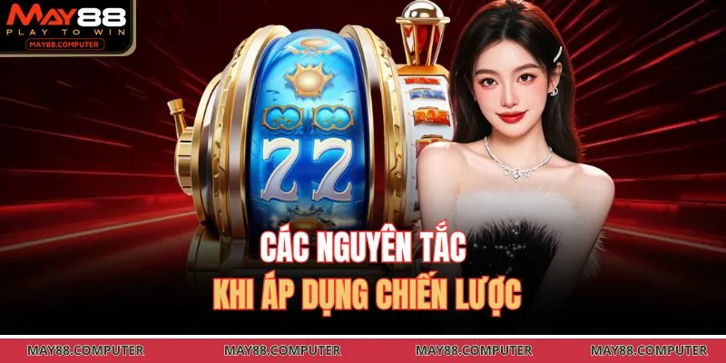 Các nguyên tắc khi áp dụng chiến lược