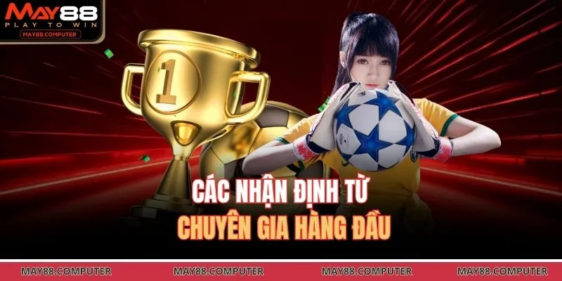 Các nhận định từ chuyên gia hàng đầu