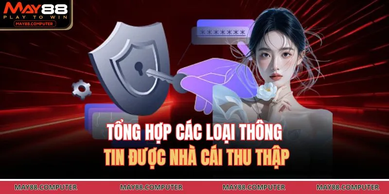 Tổng hợp các loại thông tin được nhà cái thu thập